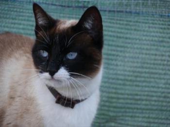 Ohne Namen 5528 Bild von Princesita
