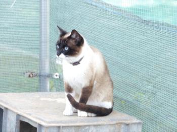 Ohne Namen 5528 Bild von Princesita
