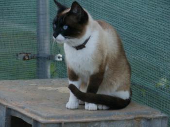 Ohne Namen 5528 Bild von Princesita