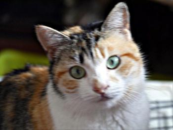 Ohne Namen 5408 Bild von Arisha
