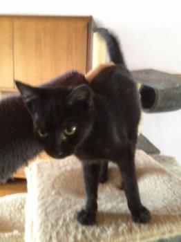 Hannes Bild von Hannes