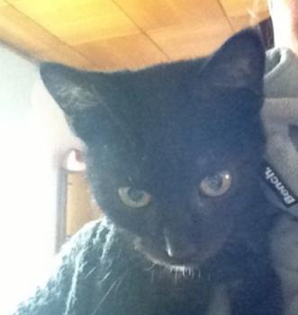 Hannes Bild von Hannes