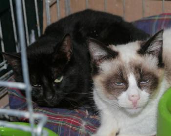 Ohne Namen 5539 Bild von Cilia