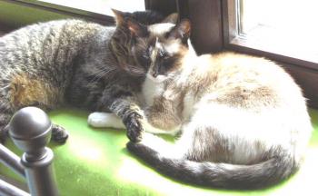 Chatri und Sarah Bild von Chatri