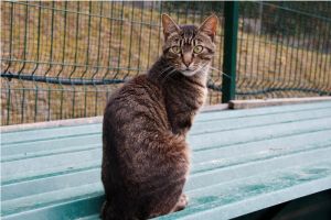 George Bild von George