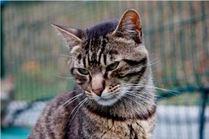 George Bild von George