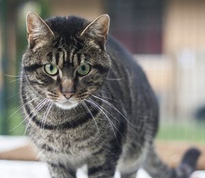 George Bild von George