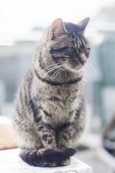 George Bild von George