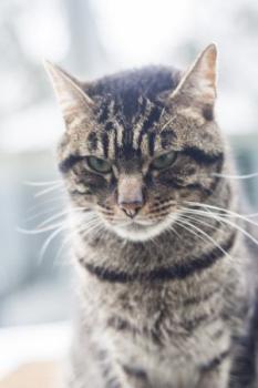 George Bild von George