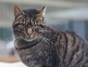 George Bild von George