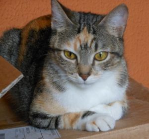 Anabel Bild von Anabel