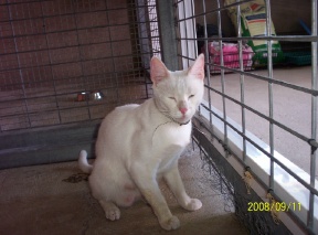 Blanca Bild von Blanca