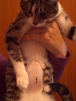 Happy Pingu Bild von Happy