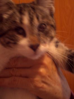 Happy Pingu Bild von Happy