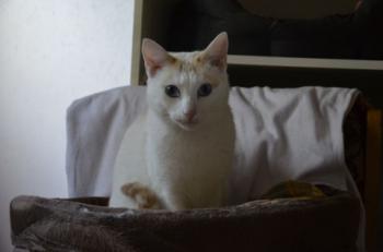 Chiqui Bild von Chiqui