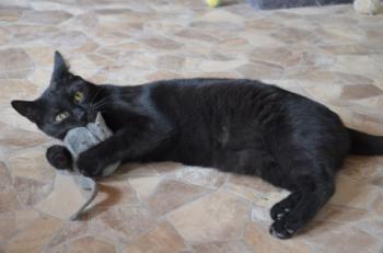 Bild von Lilith