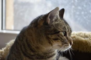Gipsy-Mimi Bild von Gipsy-Mimi