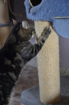 Nala Bild von Nala