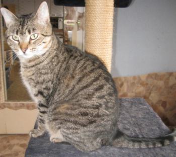 Gipsy-Mimi Bild von Gipsy-Mimi