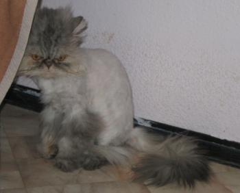 Minka Bild von Minka