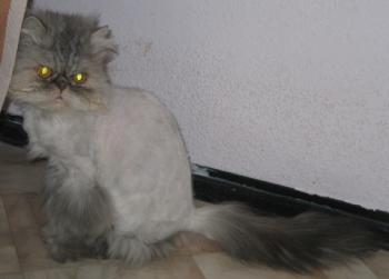 Minka Bild von Minka