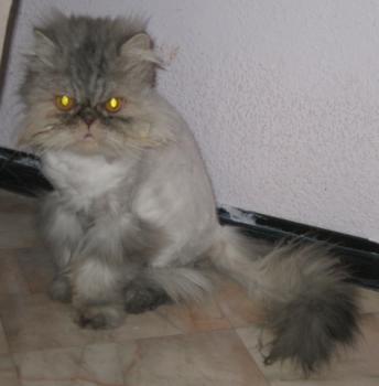 Minka Bild von Minka