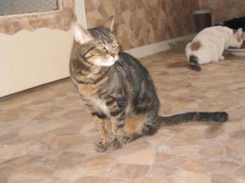Nala Bild von Nala