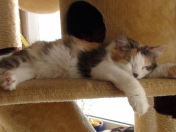 Belinda Bild von Belinda