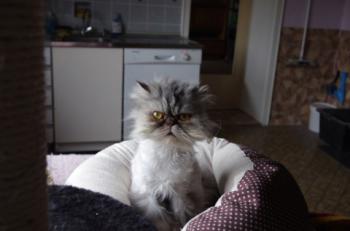 Minka Bild von Minka