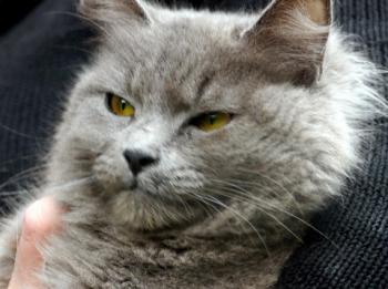 Yasmin Bild von Yasmin