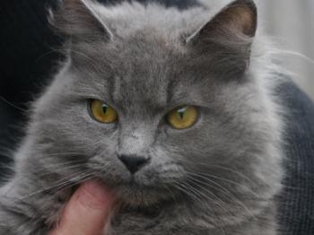 Yasmin Bild von Yasmin