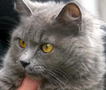 Yasmin Bild von Yasmin