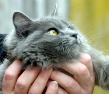 Yasmin Bild von Yasmin