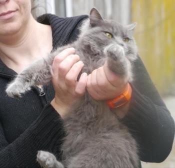 Yasmin Bild von Yasmin