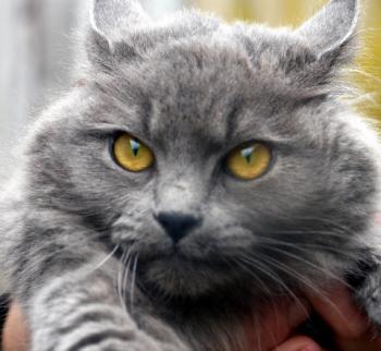 Yasmin Bild von Yasmin