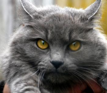 Yasmin Bild von Yasmin