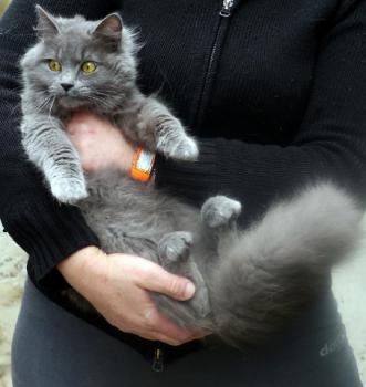 Yasmin Bild von Yasmin