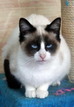 Ohne Namen 5539 Bild von Cilia