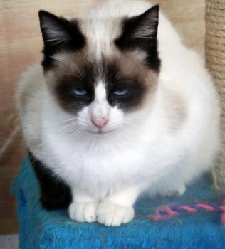 Ohne Namen 5539 Bild von Cilia