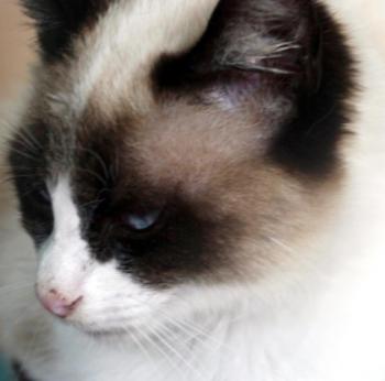 Ohne Namen 5539 Bild von Cilia