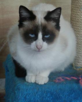 Ohne Namen 5539 Bild von Cilia