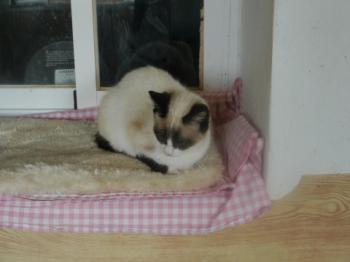 Ohne Namen 5539 Bild von Cilia