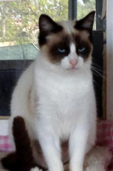 Ohne Namen 5539 Bild von Cilia