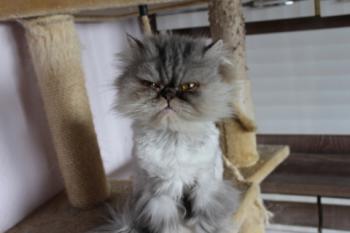 Minka Bild von Minka