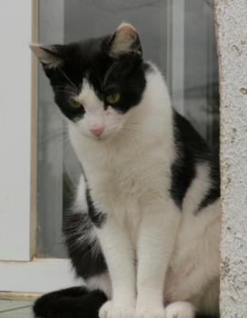 Fenja Bild von Fenja