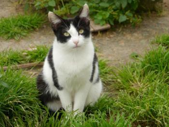 Fenja Bild von Fenja