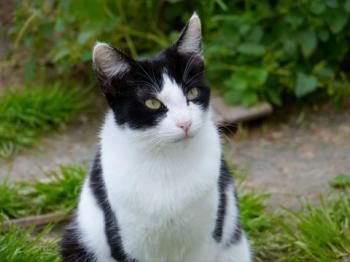 Fenja Bild von Fenja