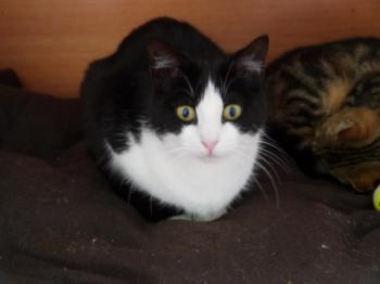 Polly Bild von Polly