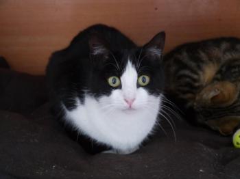 Polly Bild von Polly
