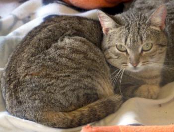 Bild von Inga